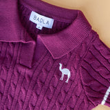 Short Sleeves Knitted Polo in Maroon
