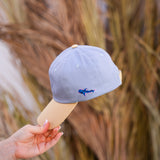 Whale Shark Cap in Blue and Yellow