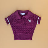 Short Sleeves Knitted Polo in Maroon